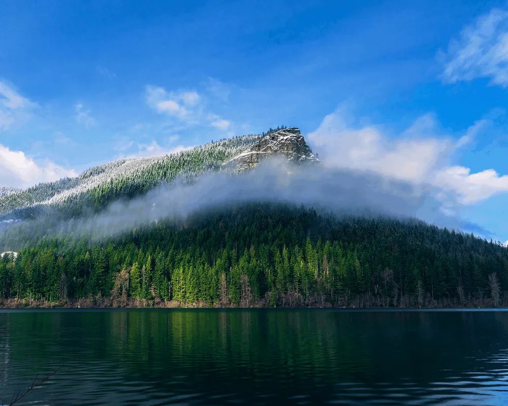 🌊 검은 여울 댐 (쿠로세 다무) 이미지 4
